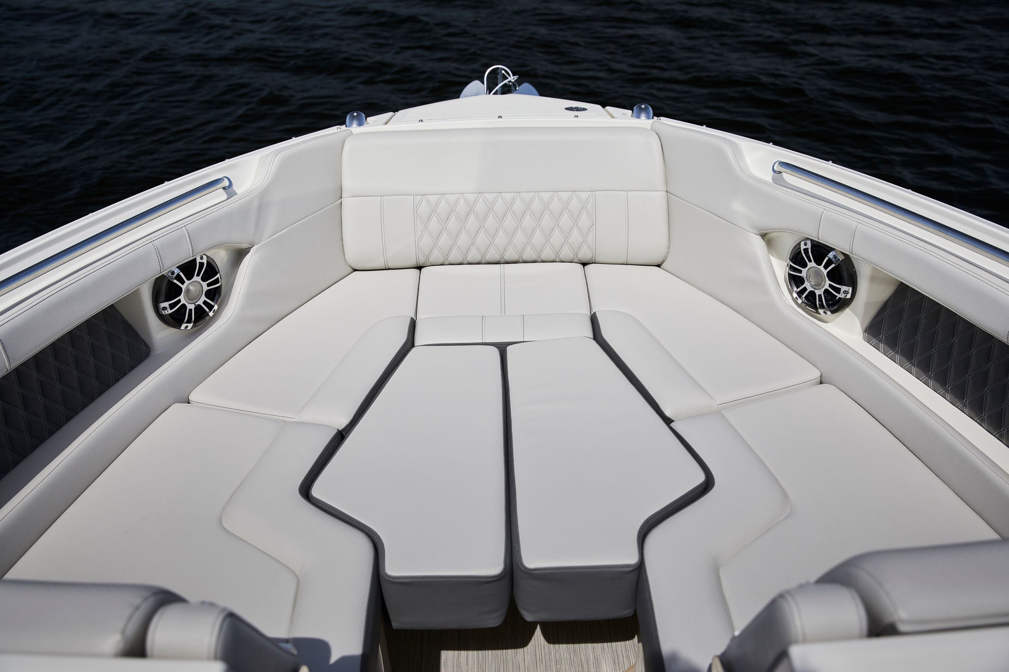 SLX 250 fusion speaker
