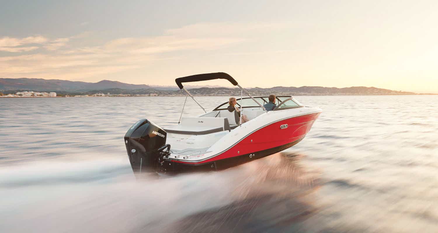 Sea Ray SPX 210 Outboard
