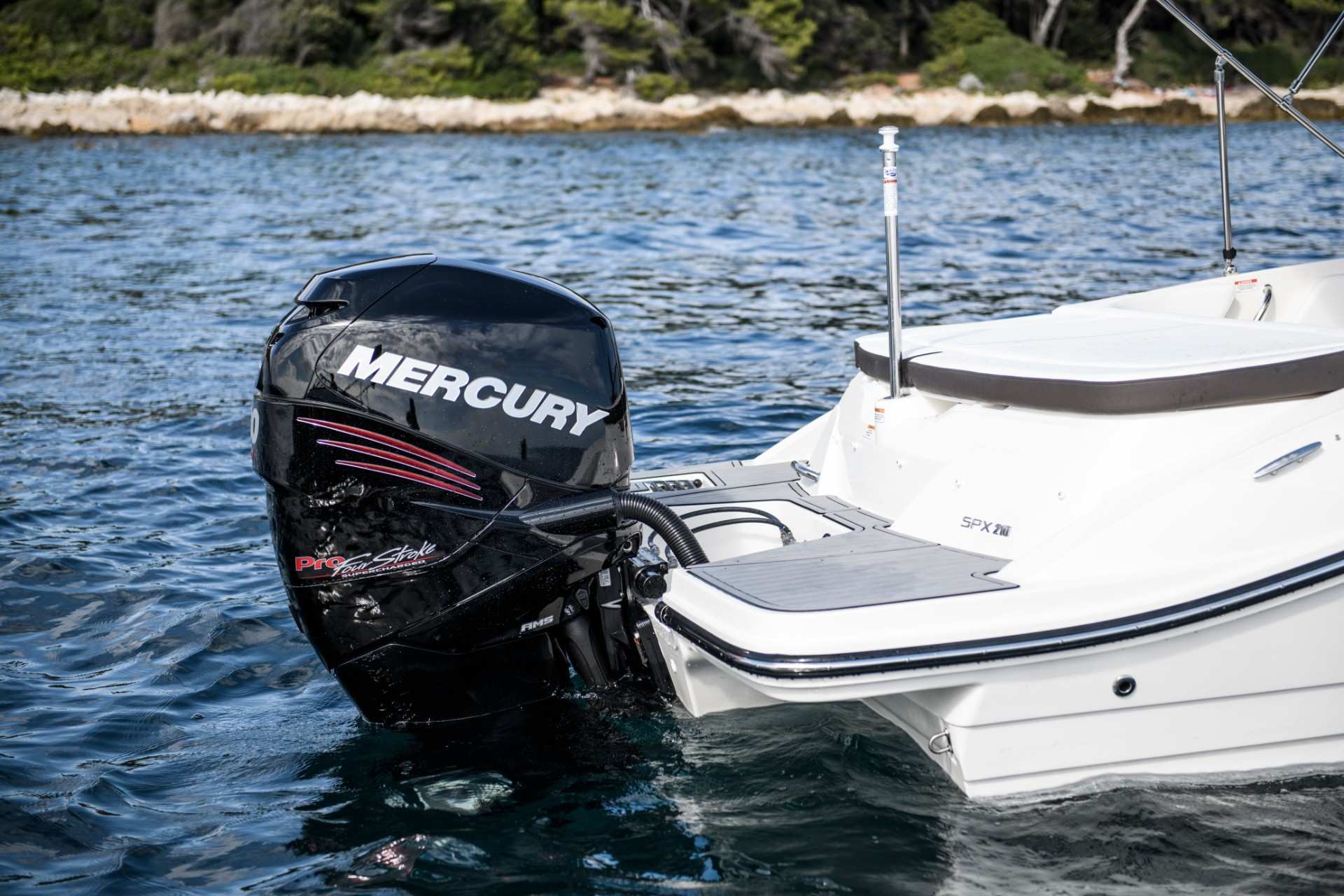 SPX 210 Outboard Europe engine