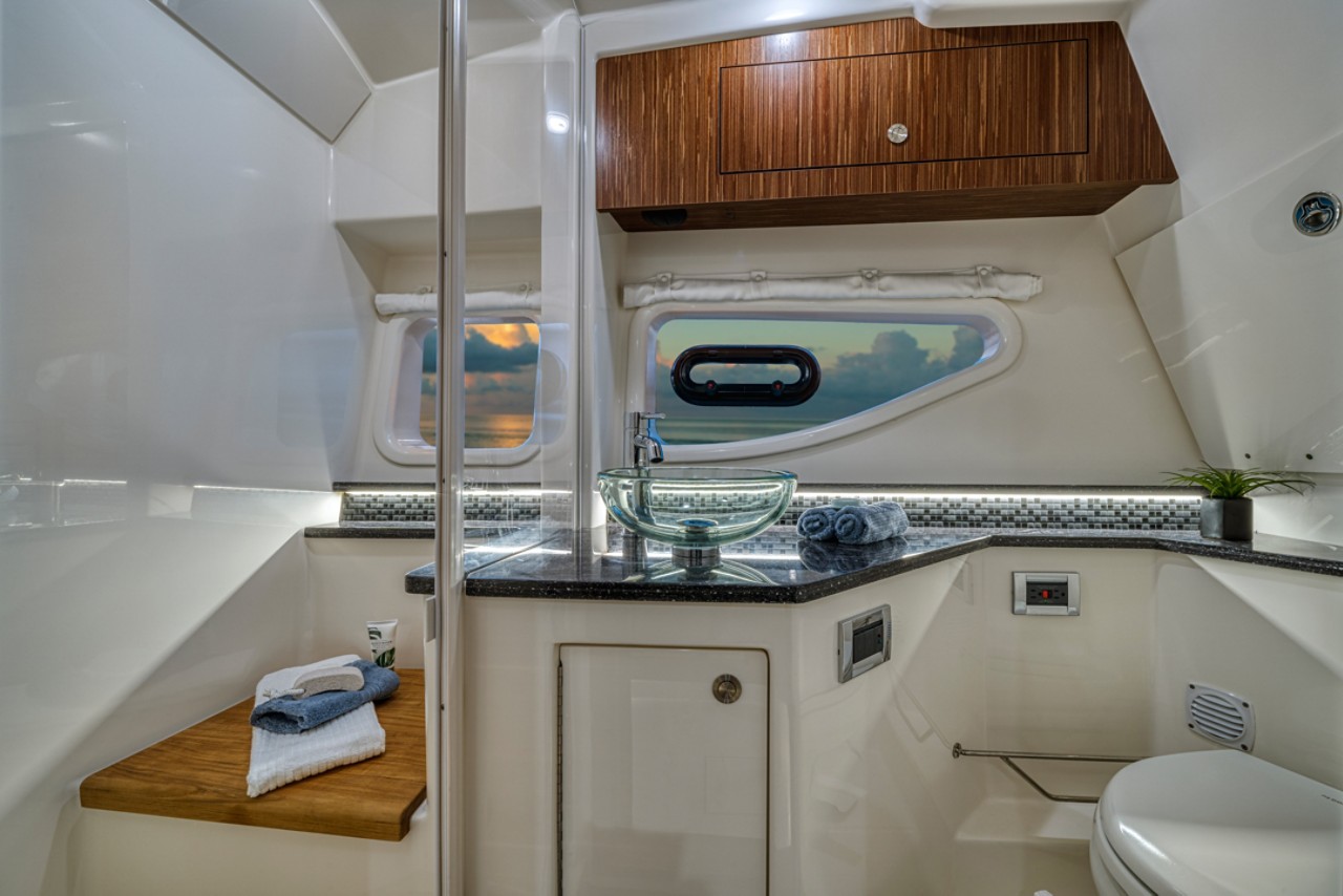 2024 Sundancer 370 Outboard head